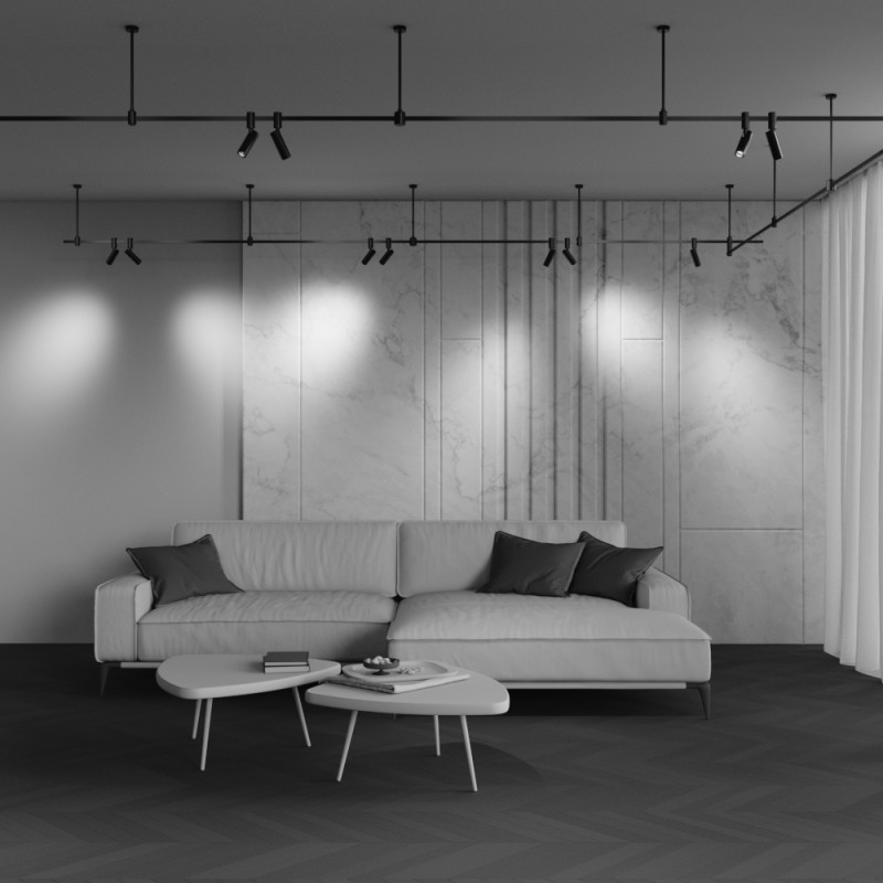 Купить с доставкой по Москве и России Светильник на шине Maytoni Technical TR144-1-5W3K-W-B