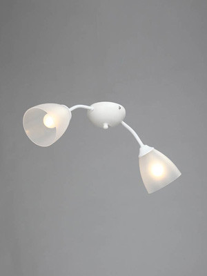 Фото Накладная люстра Vitaluce V3737-0/2PL