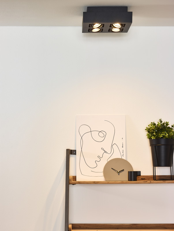 Купить Накладной светильник LUCIDE 09119/21/30