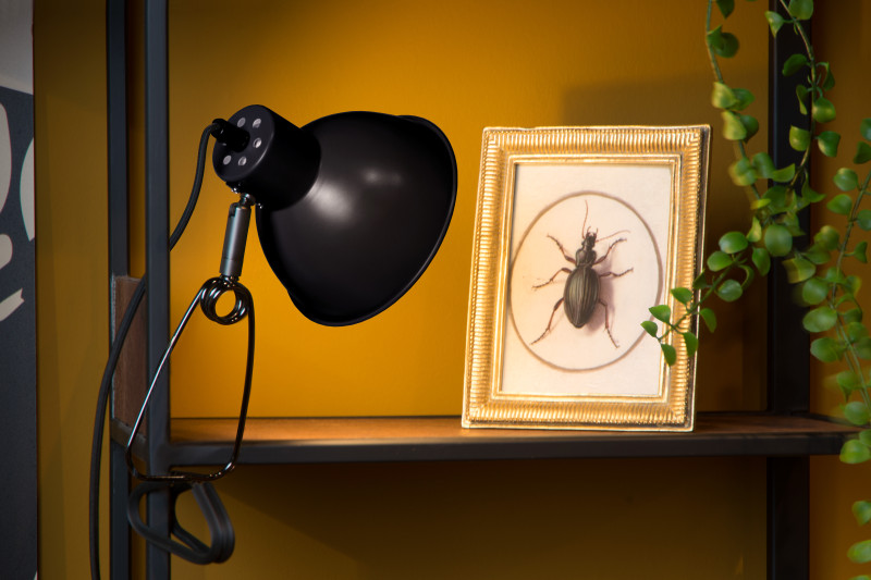 Купить Детская настольная лампа LUCIDE 45987/01/30