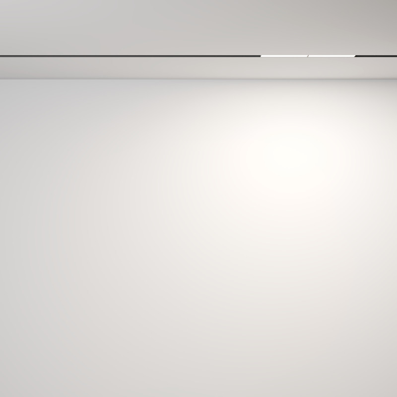 Цена на Светильник на шине Maytoni Technical TR106-2-12W4K-B