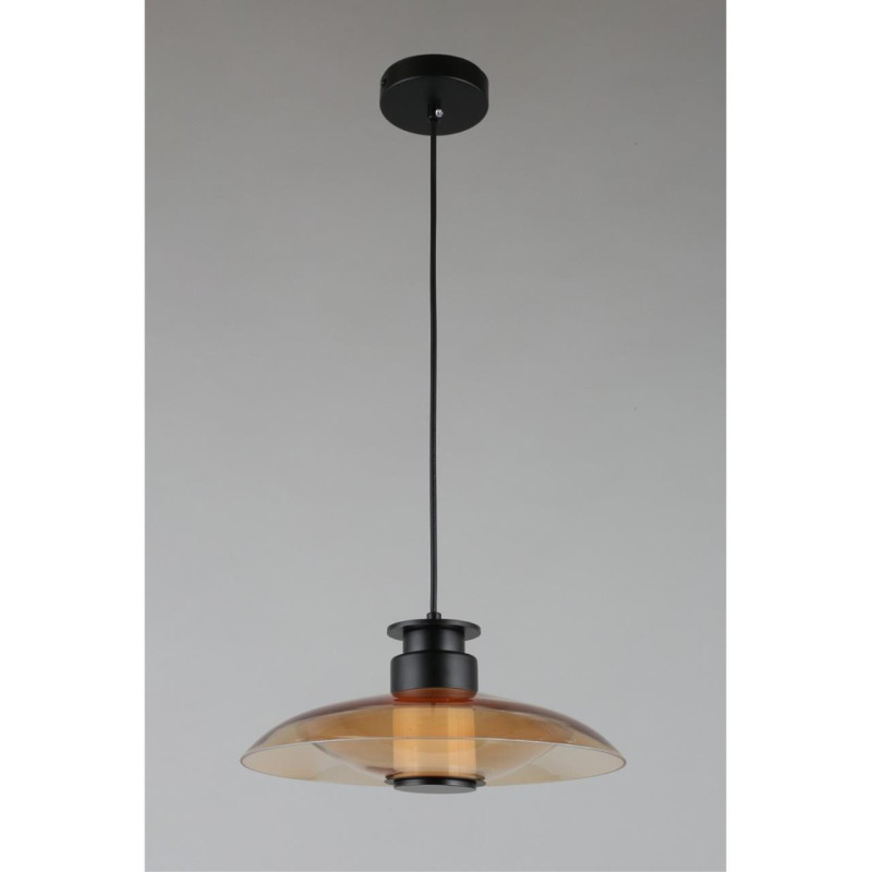 Цена на Подвесной светильник APLOYT APL.648.16.10