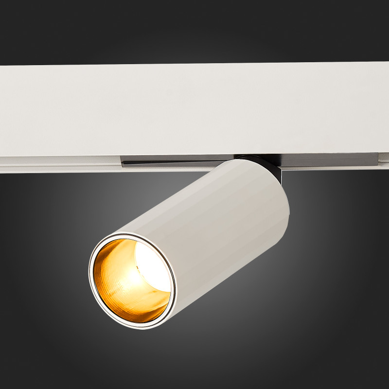 Светильник на шине ST-Luce ST807.546.12 в интернет магазине Гет Лайт