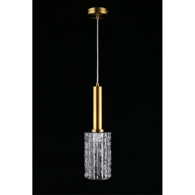 Купить с доставкой по Москве и России Подвесной светильник APLOYT APL.310.16.01