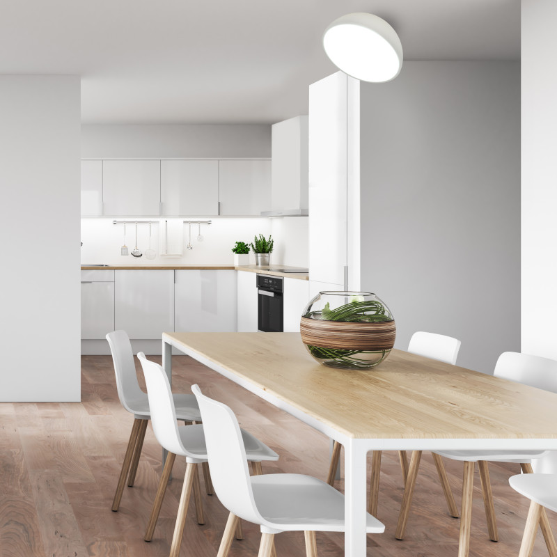 Купить с доставкой по Москве и России Накладной светильник Escada 20025SMA/01LED WH