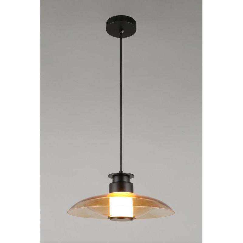 Купить Подвесной светильник APLOYT APL.648.16.10