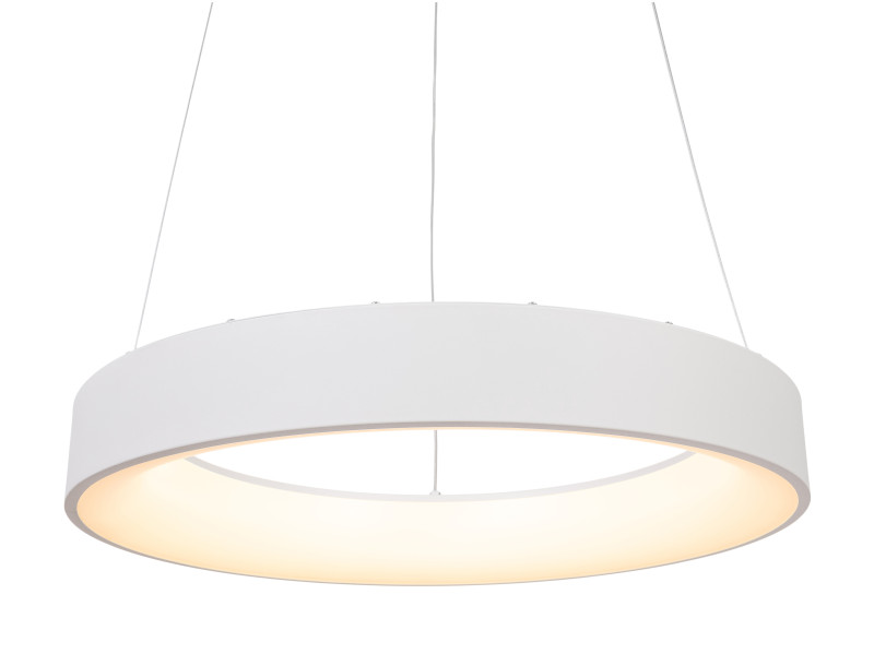 Купить с доставкой по Москве и России Подвесной светильник MyFar MR2191-1PL