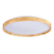 Цена на Накладной светильник Evoluce SLE201382-01