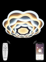 Купить Накладной светильник Natali Kovaltseva 81039/5C