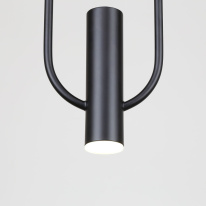 Купить с доставкой по Москве и России Подвесной светильник Favourite 4191-1P