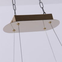 Купить с доставкой по Москве и России Подвесная люстра Favourite 4590-10P