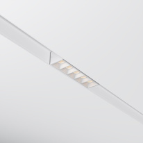 Купить с доставкой по Москве и России Светильник на шине Maytoni Technical TR076-2-10W3K-W