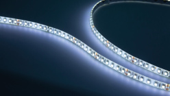 Купить Лента SWG SWG3120-24-9.6-W-65-M