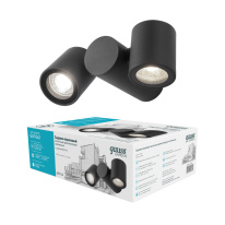 Купить Светильник настенный Gauss GD152