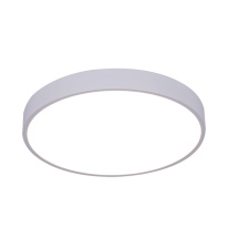 Фото Накладной светильник ARTE Lamp A2661PL-1WH