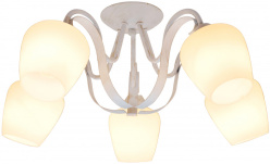 Фото Накладная люстра TOPLIGHT TL1133-5D