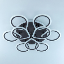 Купить Накладная люстра Citilux CL235A195E