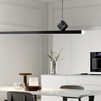 Купить с доставкой по Москве и России Подвесной светильник ImperiumLoft 220337-23