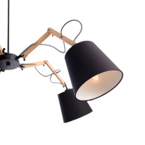 Купить с доставкой по Москве и России Подвесная люстра ARTE Lamp A5700LM-5BK