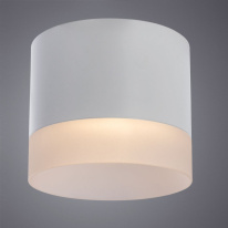 Цена на Накладной светильник ARTE Lamp A5554PL-1WH