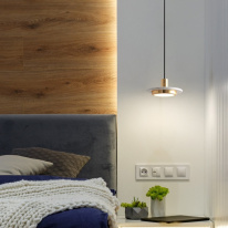 Купить с доставкой по Москве и России Подвесной светильник ImperiumLoft 151773-26