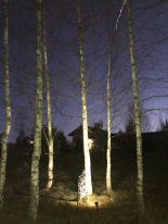 Купить с доставкой по Москве и России Грунтовый светильник Covali FL-33005