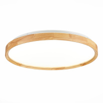 Фото Накладной светильник Evoluce SLE201382-01