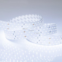 Купить Лента Arlight 019084