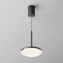 Подвесной светильник Maytoni Technical P076PL-L12W4K-B Купить Подвесной светильник Maytoni Technical P076PL-L12W4K-B