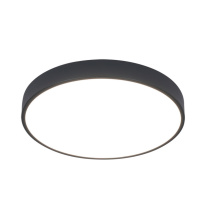 Фото Накладной светильник ARTE Lamp A2661PL-1BK