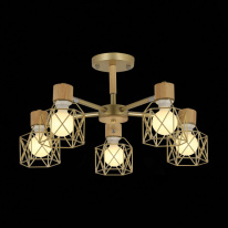 Купить Люстра на штанге Evoluce SLE110402-05