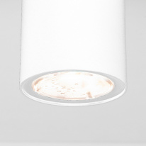 Цена на Накладной уличный светильник Elektrostandard Light LED 2102 (35129/H) белый