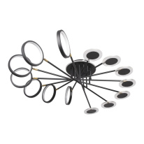 Фото Накладная люстра LOFT IT 10164L Black