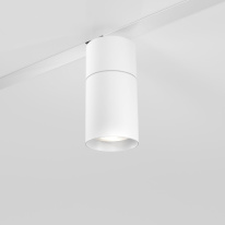 Купить с доставкой по Москве и России Светильник на шине Elektrostandard Slim Magnetic R03 Трековый светильник 20W 4200K (белый) 8501