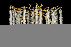 Торшер Dio D'arte Tavenna H 3.1.1.100 A в интернет магазине Гет Лайт