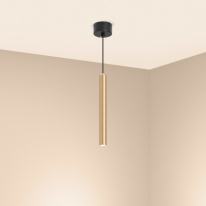 Купить Подвесной светильник Arlight 038618