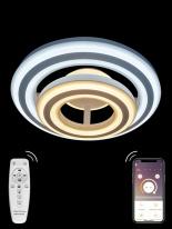 Фото Накладной светильник Natali Kovaltseva 81017/6C