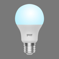 Купить Светодиодная лампа Gauss 202402212