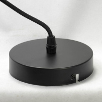 Купить с доставкой по Москве и России Подвесной светильник Lussole LSP-9543