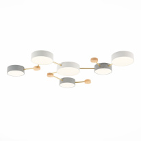 Фото Накладной светильник Evoluce SLE600102-06