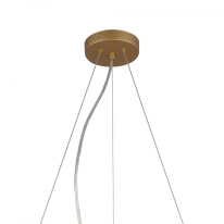 Купить Подвесная люстра F-Promo 2911-5P