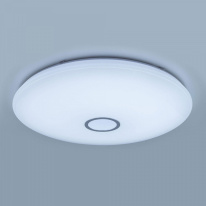 Купить с доставкой по Москве и России Накладной светильник Citilux CL703A141G