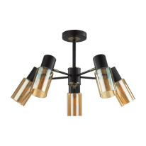 Фото Люстра на штанге LUMION 5644/5C