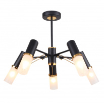 Фото Люстра на штанге F-Promo 2558-5P