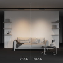 Купить с доставкой по Москве и России Maytoni Technical TR196-3-10W2.7K-B