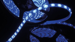 Купить с доставкой по Москве и России Лента SWG SWG360-12-4.8-B-65-M