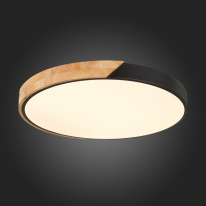 Купить Накладной светильник Evoluce SLE200942-01