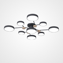 Фото Накладная люстра ImperiumLoft 223769-23