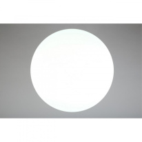 Купить с доставкой по Москве и России Накладной светильник Omnilux OML-43017-100