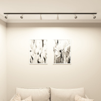 Светильник на шине Denkirs DK6050-BW+BK в интернет магазине Гет Лайт